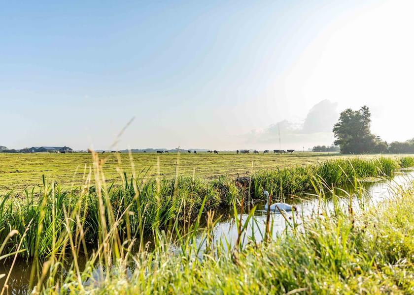 North Holland Egmond aan den Hoef Exterior Detail