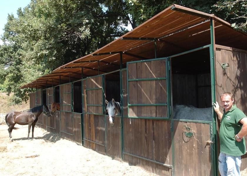 Lazio Bolsena Exterior Detail