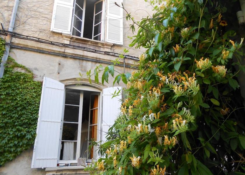 Provence - Alpes - Cote d'Azur Avignon Facade