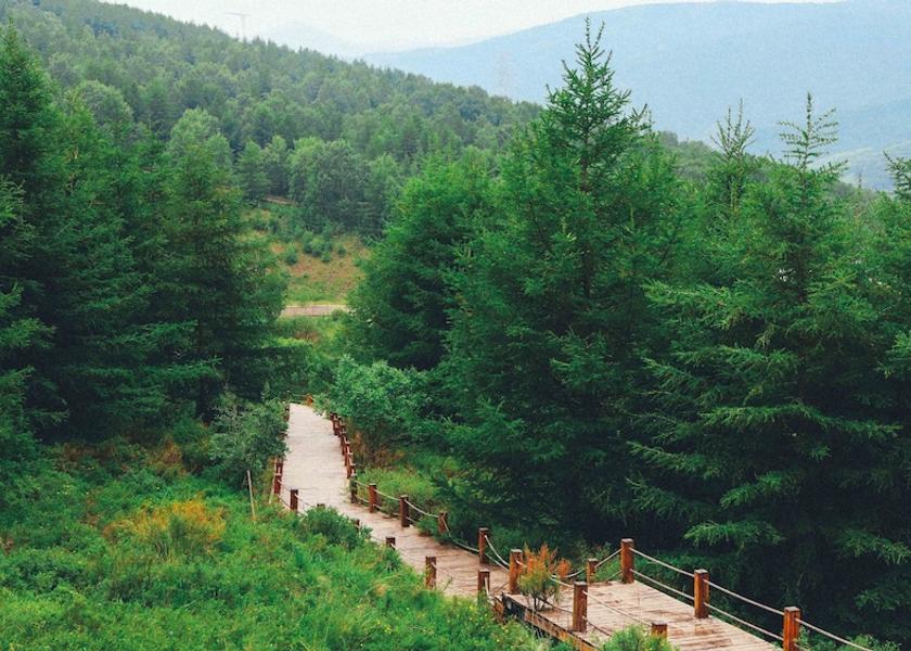 Hebei Zhangjiakou Land View from Property