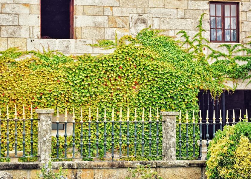 Galicia Sanxenxo Facade