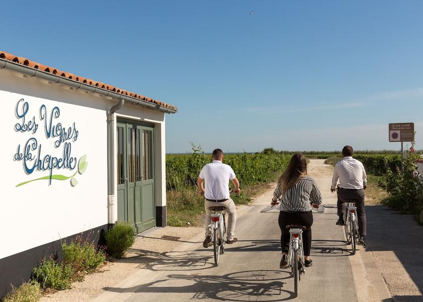 Nouvelle-Aquitaine Sainte-Marie-de-Re Bicycling