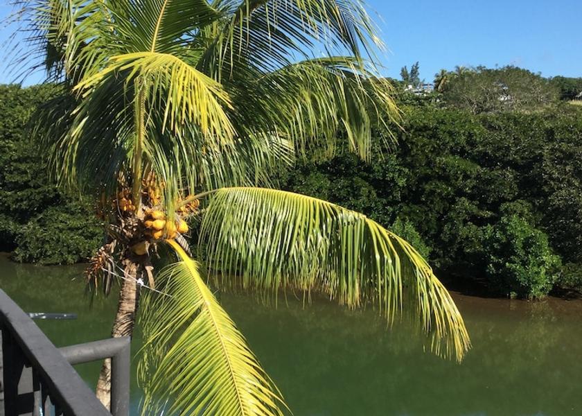 MU Mauritius Exterior Detail