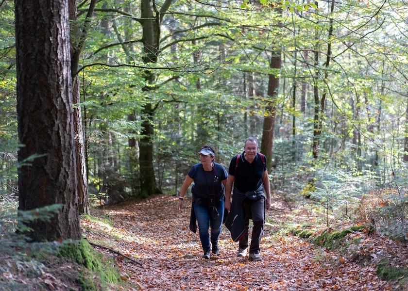 Grand Est Saint-Die Hiking