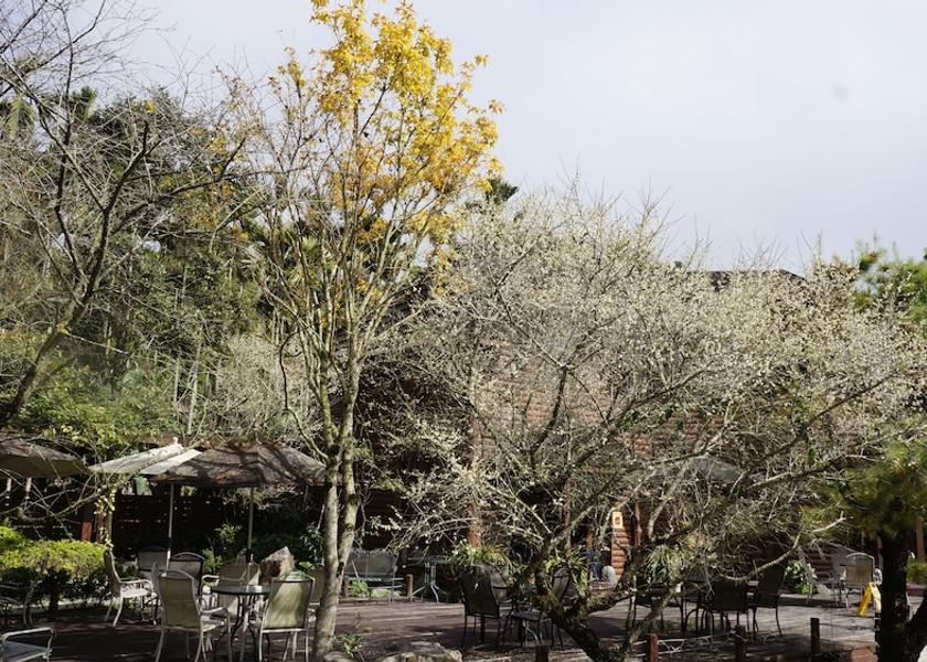 Nantou County Lugu Courtyard