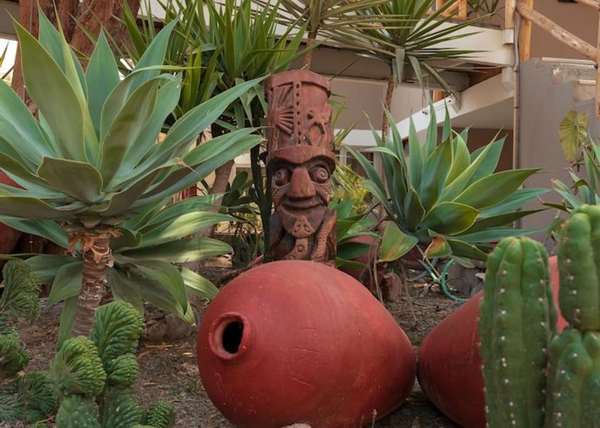 Ica (region) Ica Exterior Detail