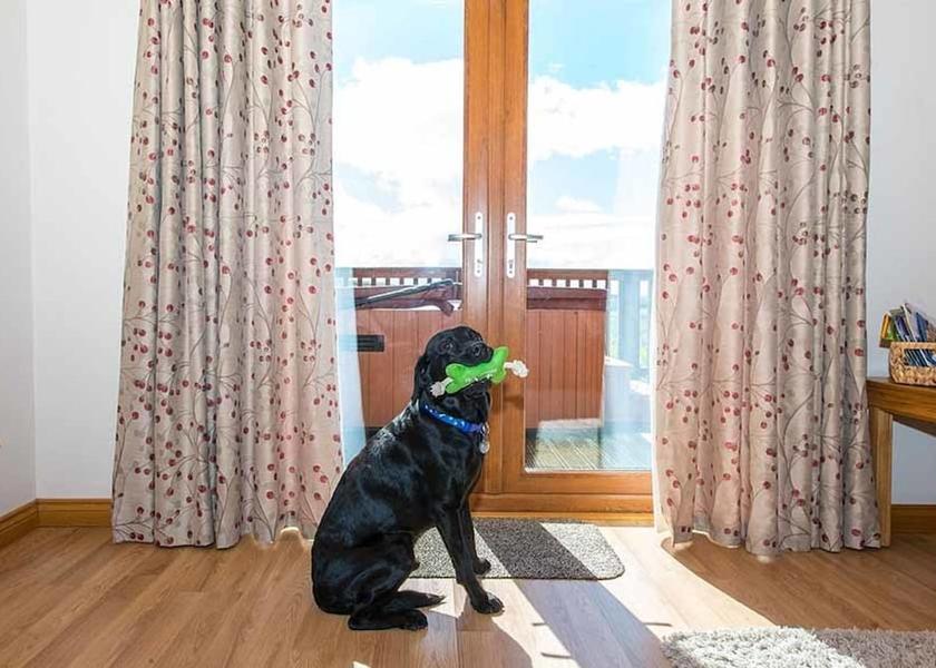 Scotland Cupar Exterior Detail