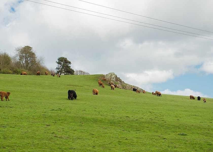 Scotland Cupar View from Property
