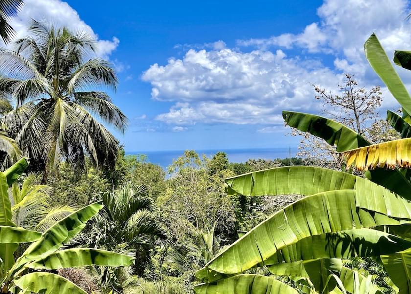  Pointe-Noire View From Room