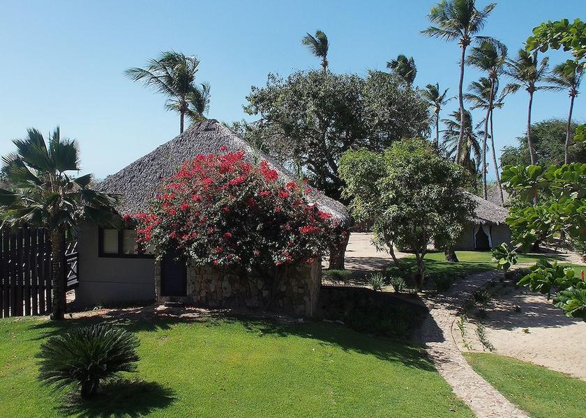 Northeast Region Cajueiro da Praia Garden