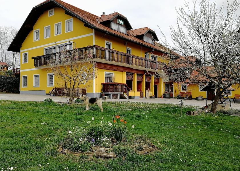  Ptuj Exterior Detail