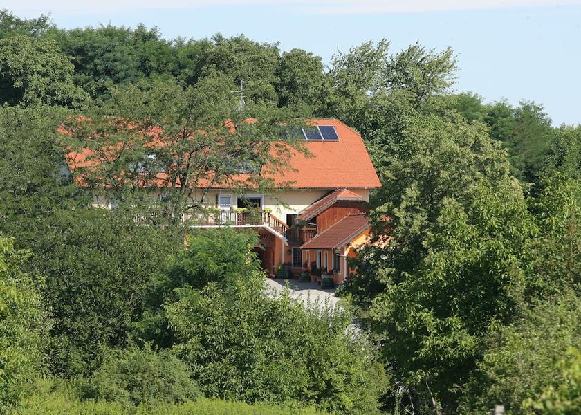  Ptuj Exterior Detail