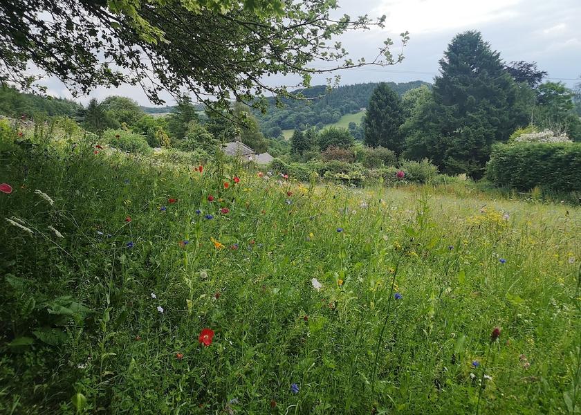 England Matlock Property Grounds
