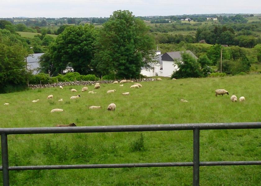 Mayo (county) Cong Exterior Detail