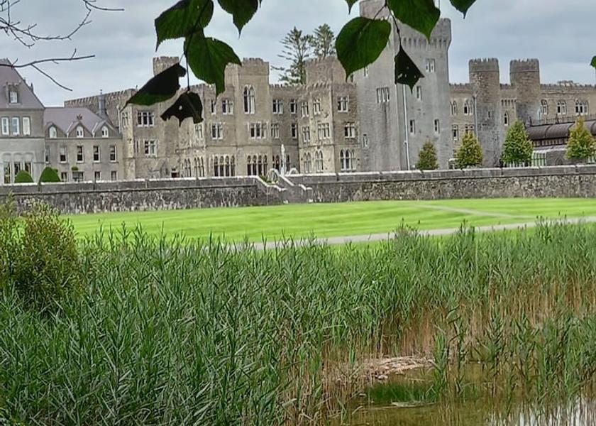 Mayo (county) Cong Exterior Detail