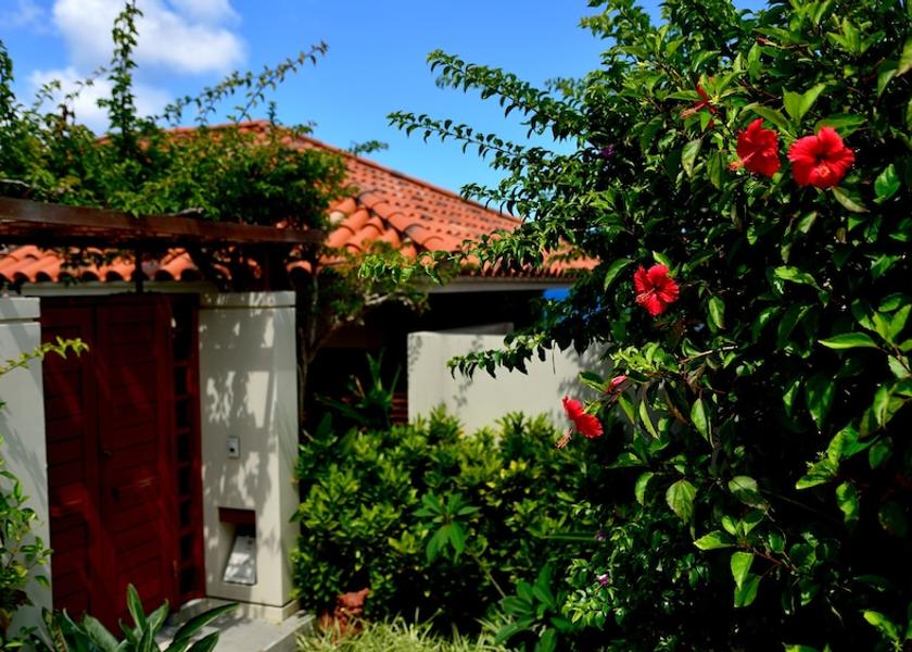 Okinawa (prefecture) Nago Room