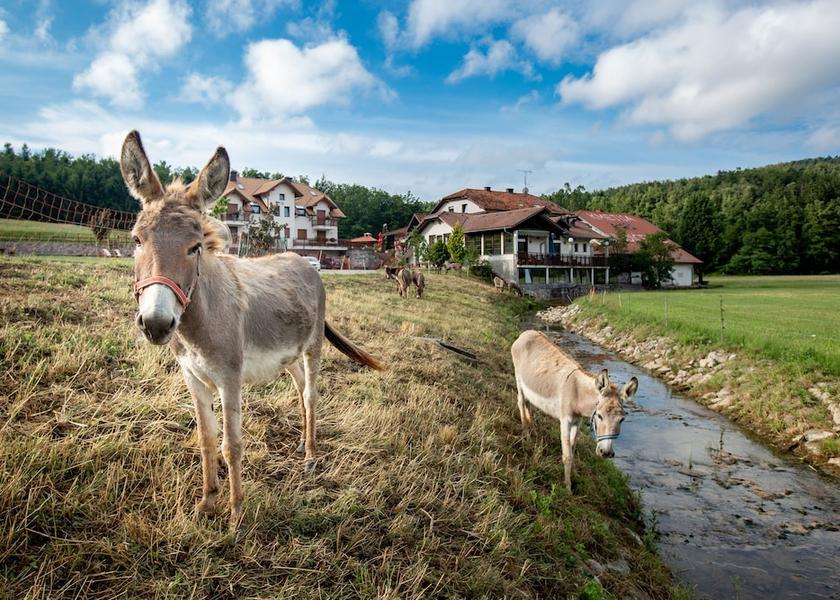  Postojna Exterior Detail