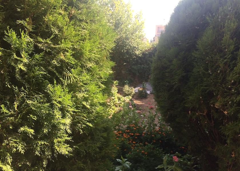  Podgorica Property Grounds