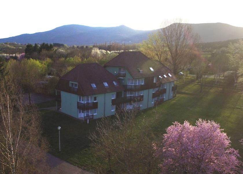 Grand Est Obernai Aerial view