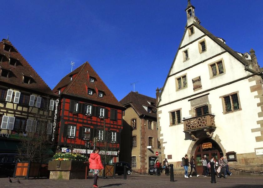 Grand Est Obernai Hiking