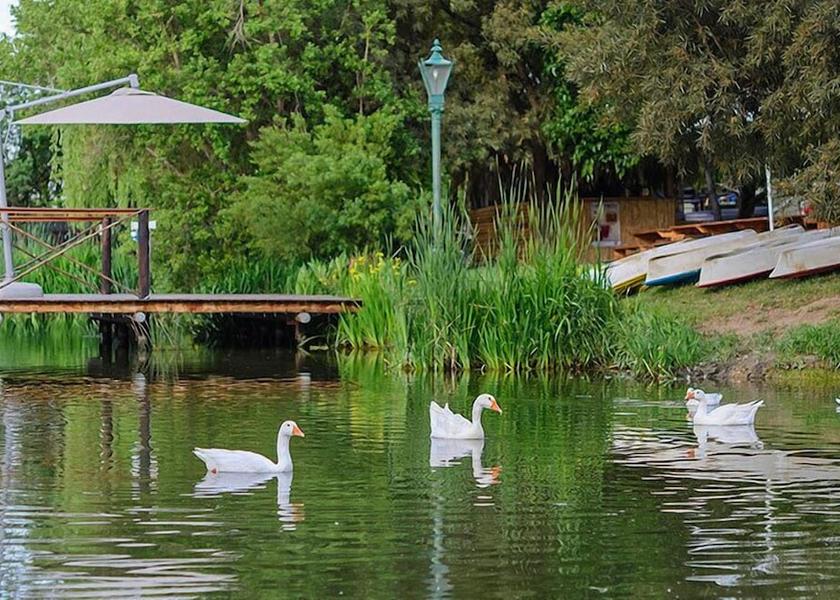 Gauteng Muldersdrift Lake