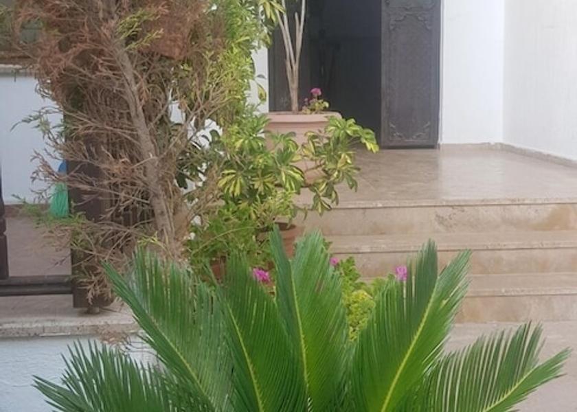 Muğla Ula Garden