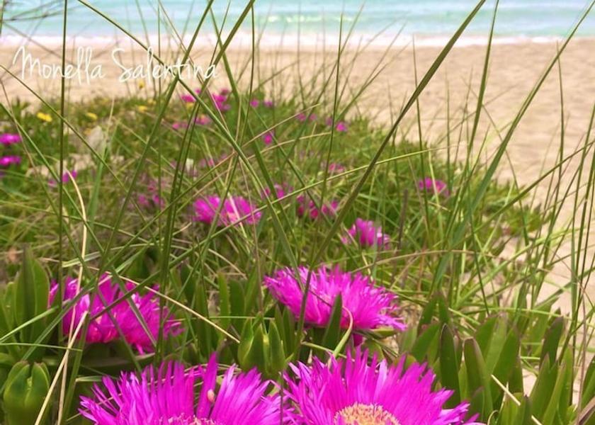 Puglia Sava Beach
