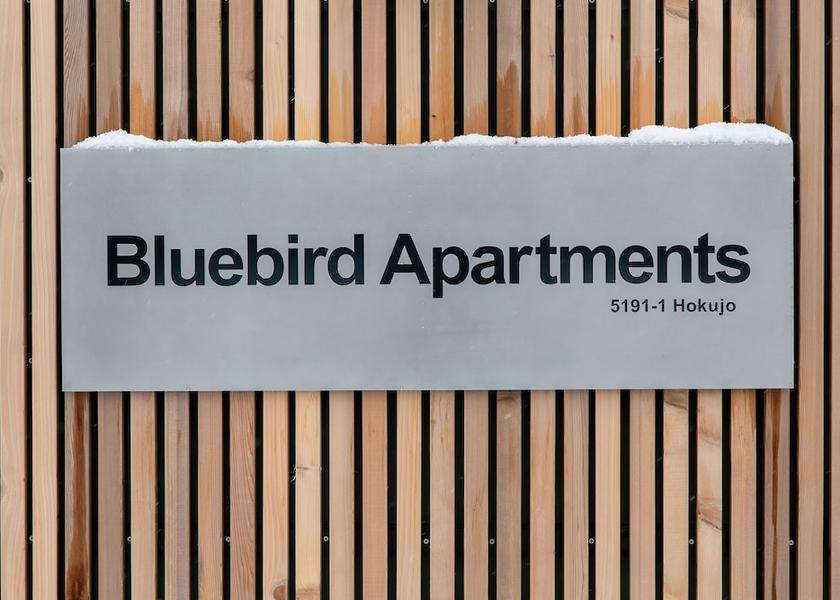 Nagano (prefecture) Hakuba Exterior Detail