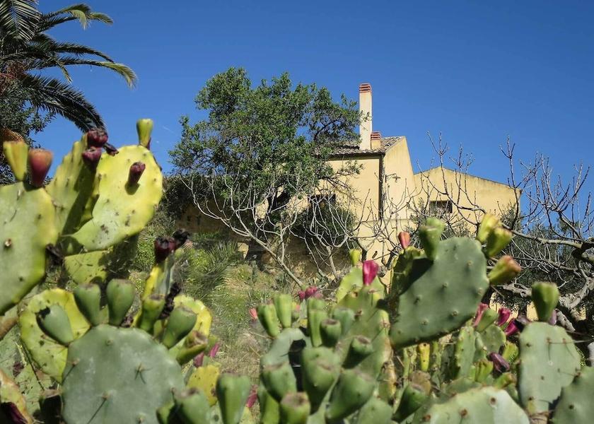 Sicily Castelvetrano Garden