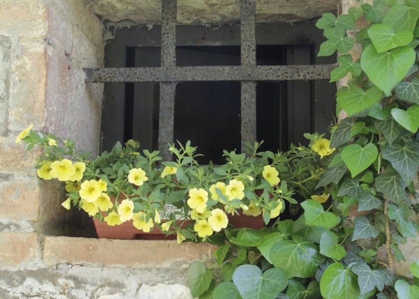 Tuscany Murlo Exterior Detail