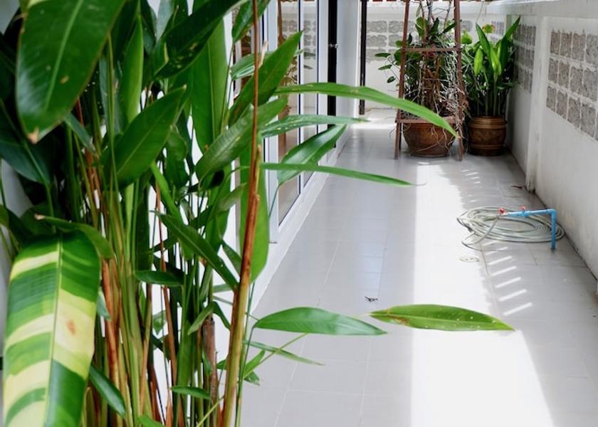 Surat Thani Koh Tao Entrance