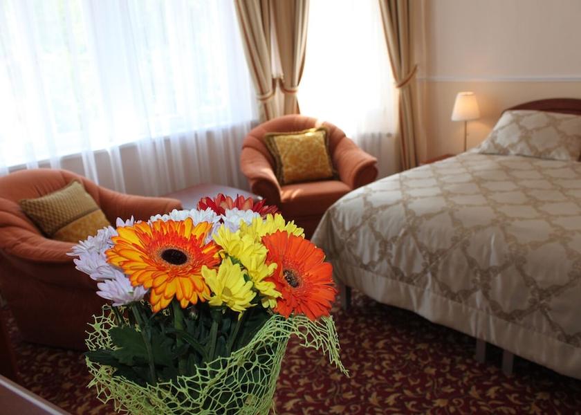 Karlovy Vary Region Karlovy Vary Room
