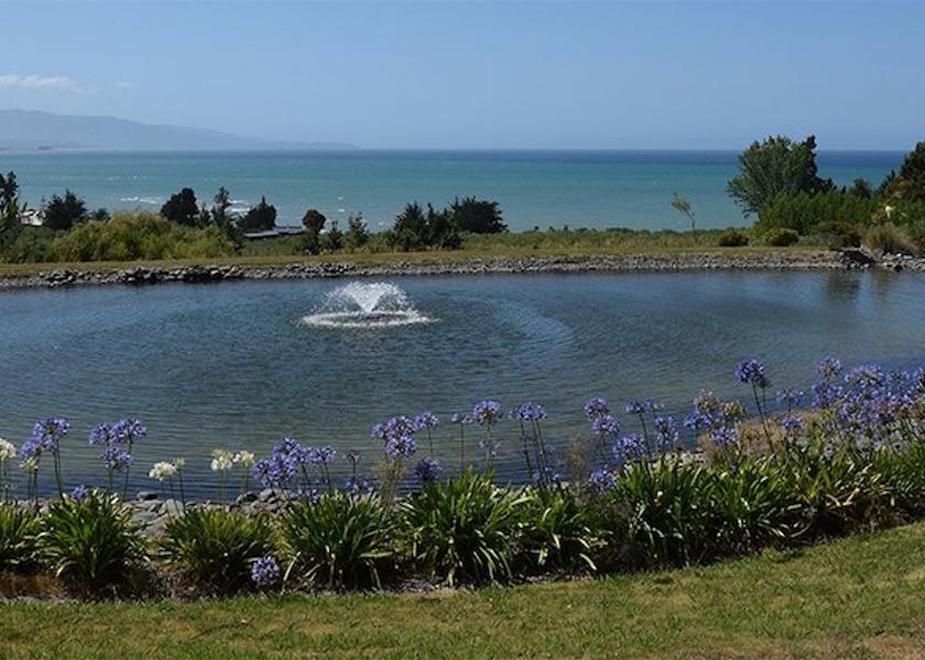 Tasman Region Tasman Property Grounds