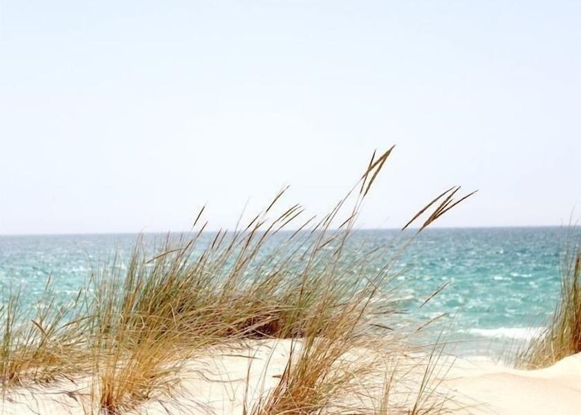 Schleswig-Holstein Timmendorfer Strand Beach