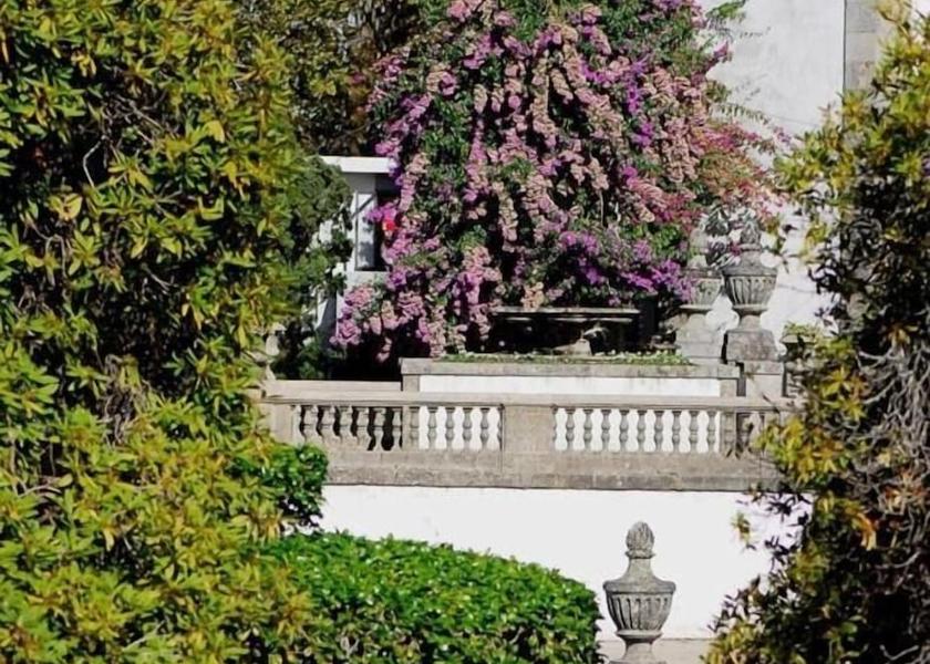 Braga Braga Exterior Detail