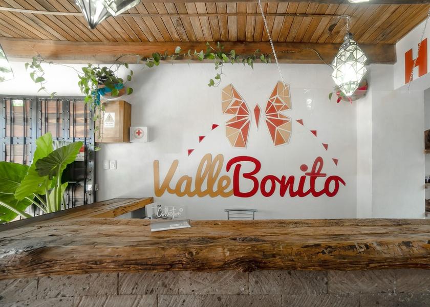 State of Mexico Valle de Bravo Reception