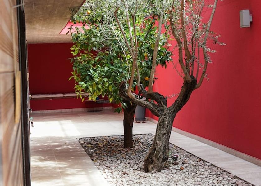Occitanie Montpellier Terrace