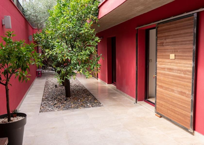 Occitanie Montpellier Terrace