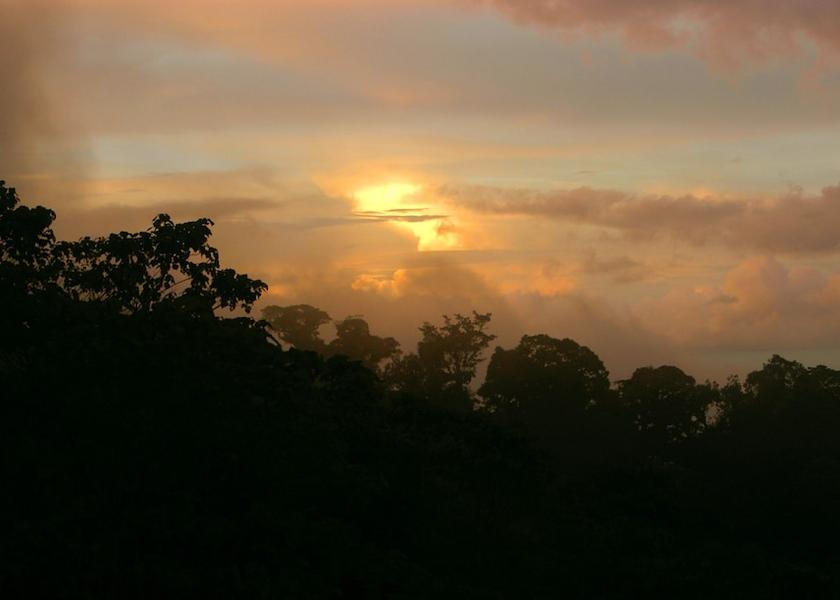 Puntarenas Drake Bay Exterior Detail