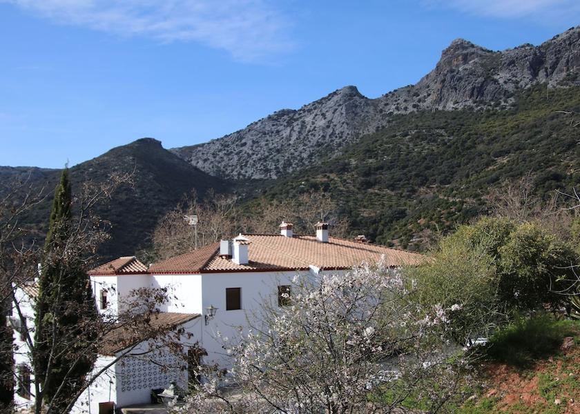 Andalusia Cortes de la Frontera Exterior Detail