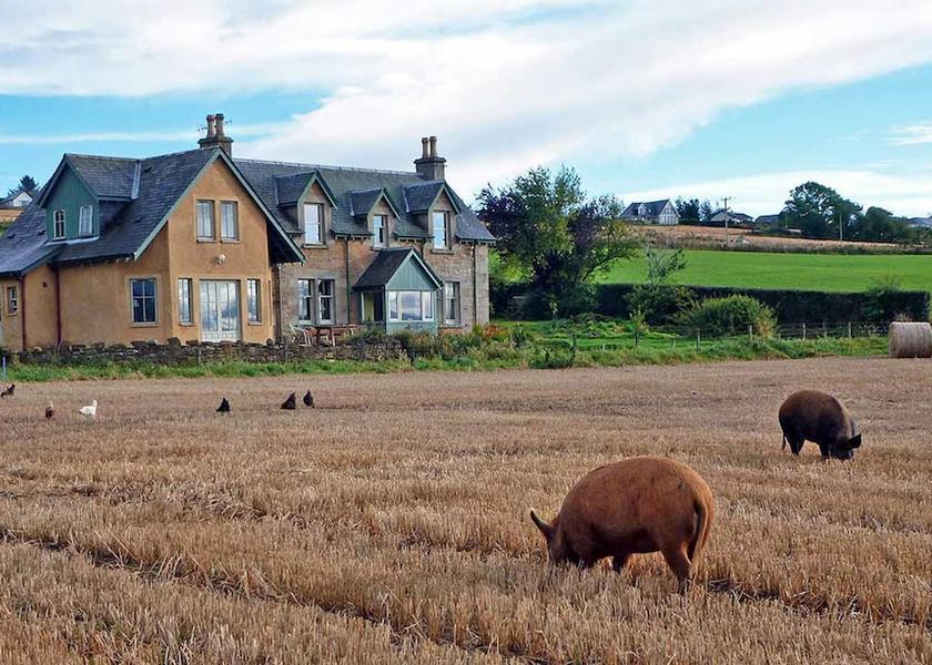 Scotland Dingwall Exterior Detail