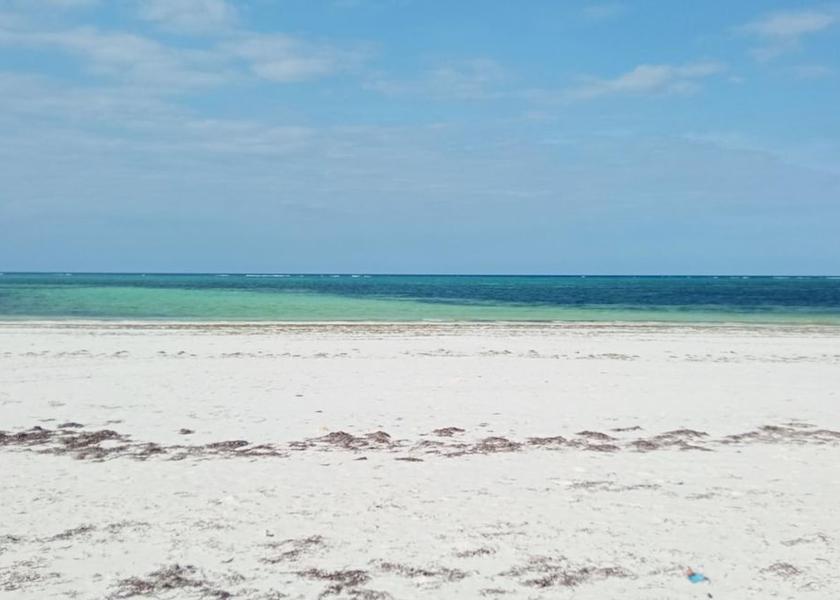 Unguja North Region Kiwengwa Beach