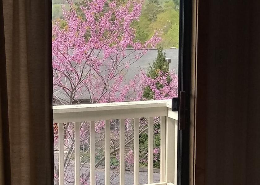 Virginia Basye Balcony View