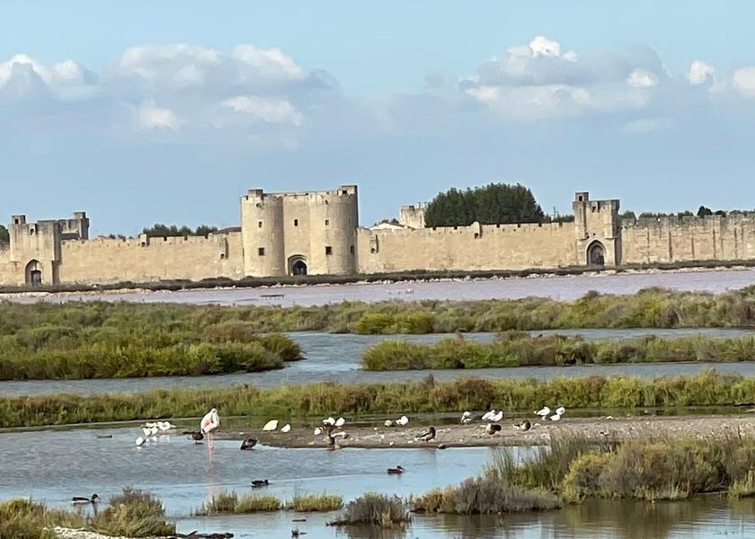 Occitanie Aigues-Mortes Hiking