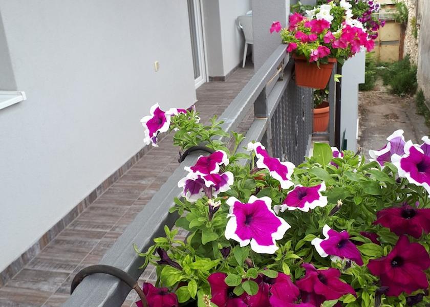 Herzegovina-Neretva Canton Mostar Terrace