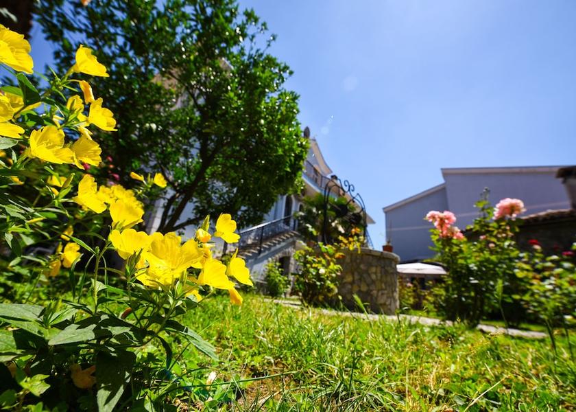  Shkoder Exterior Detail