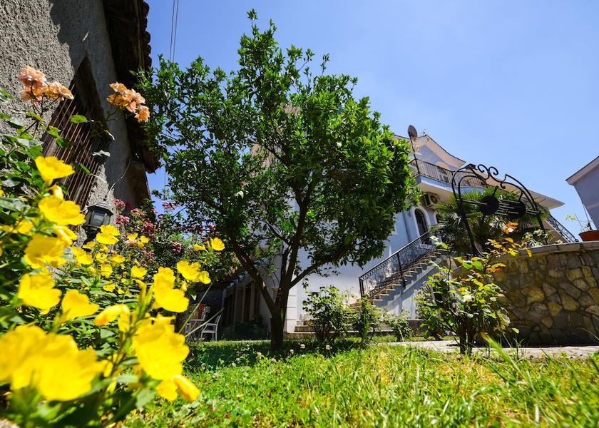  Shkoder Exterior Detail