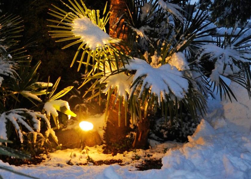 Trentino-Alto Adige Nalles Exterior Detail