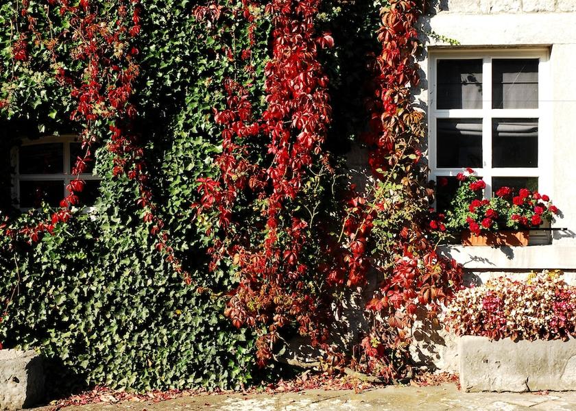 Walloon Region Ferrieres Facade