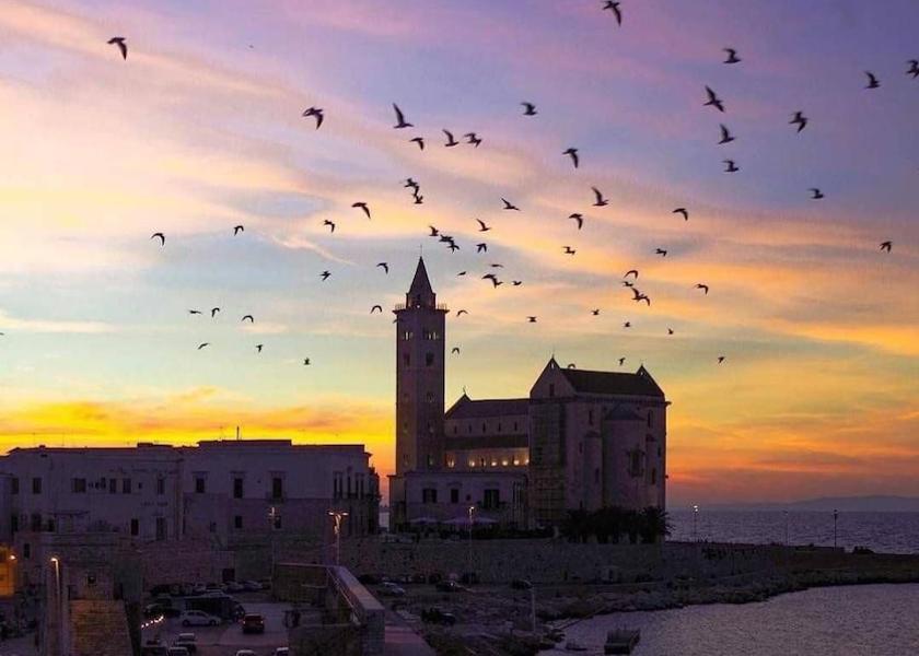 Puglia Trani Exterior Detail